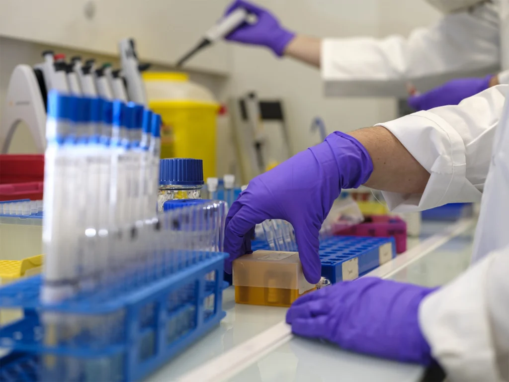 Deux paires de mains de techniciens de laboratoire en train de manipuler